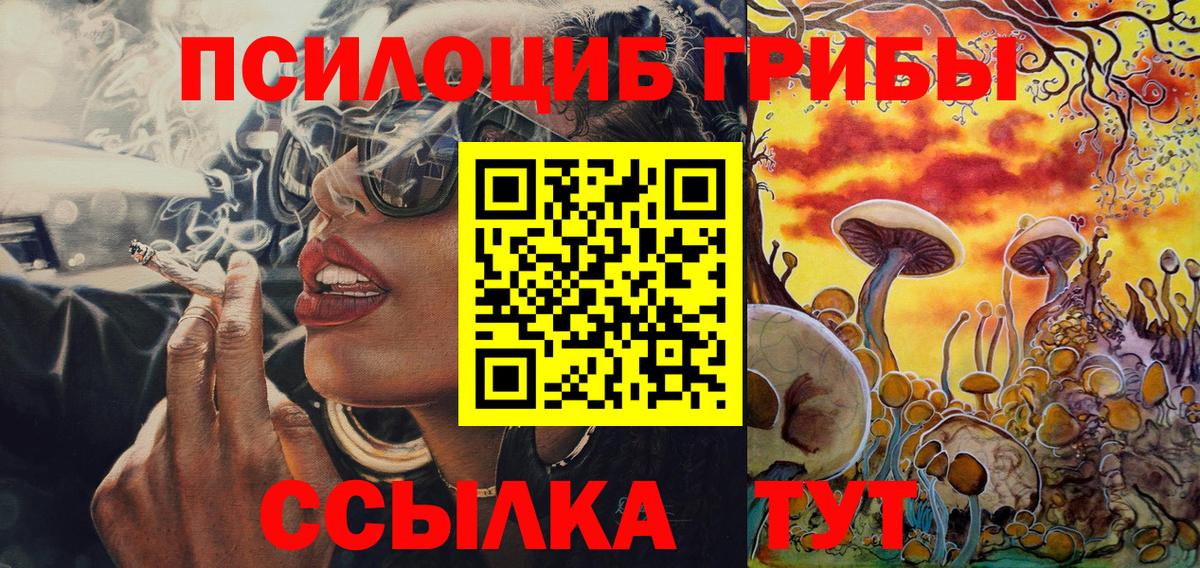 Новотроицк  Псилоцибиновые грибы Psilocybine cubensis  Вход с VPN 
